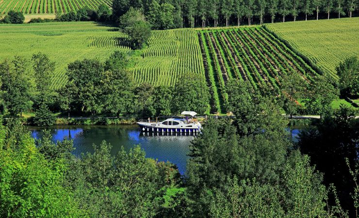 boat & vineyards