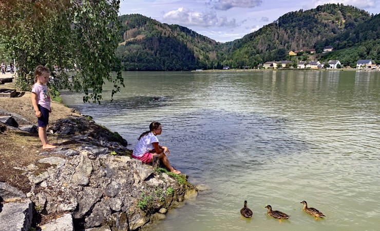 eurobike-donau-radweg-fuer-familien-schaerding-linz-enten-19