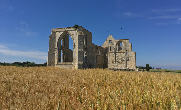 Ile de Ré - Abbaye des Chateliers