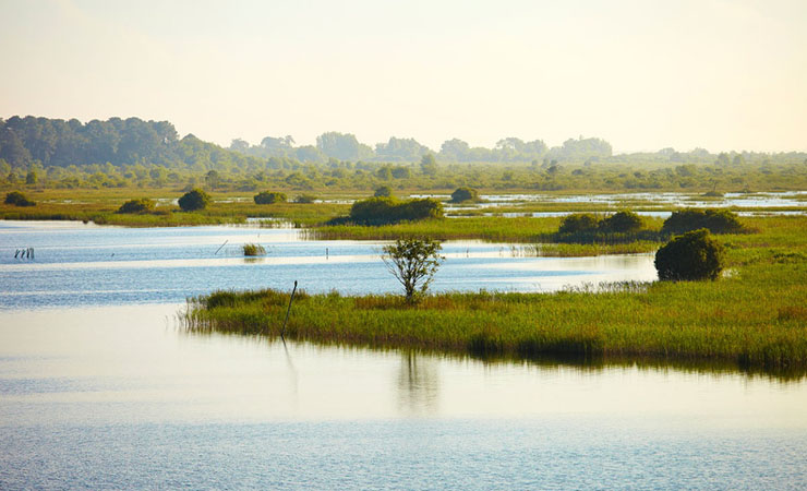 nature reserve