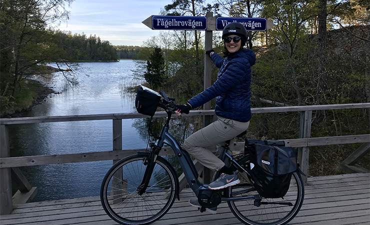 Fagelbrolandet