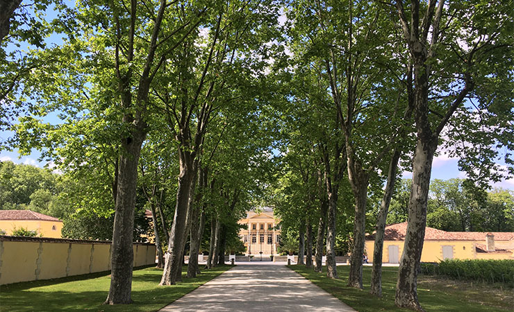 Château Margaux