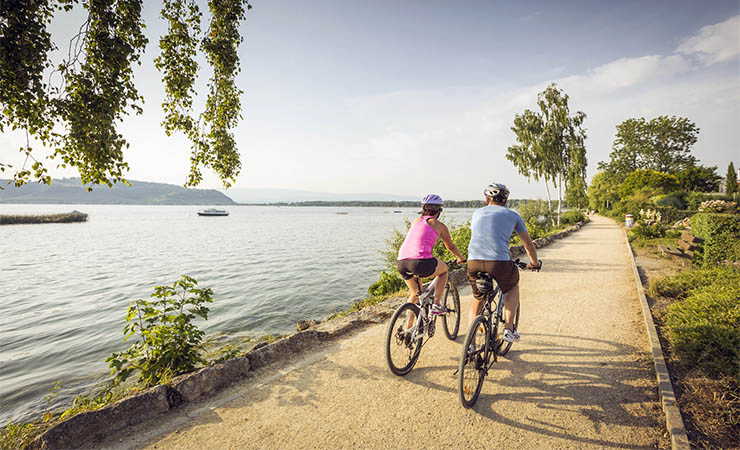 Lake of Neuchatel