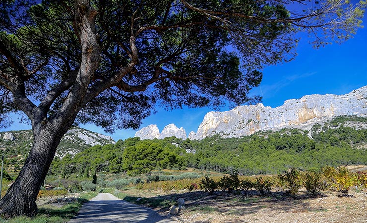 Les Dentelles de Montmirail 4 @HOCQUEL_A_-_VPA