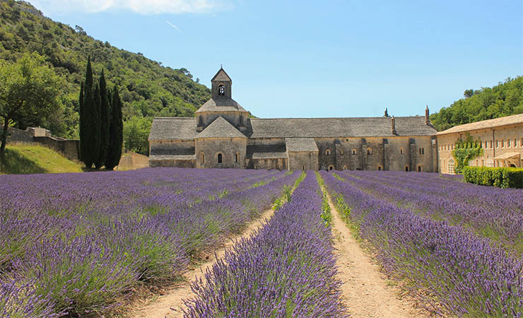 Sénanque abbey